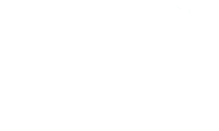 Nevada National Security Site NNSS logo